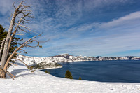 _DSC7991