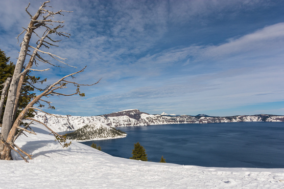 _DSC7991